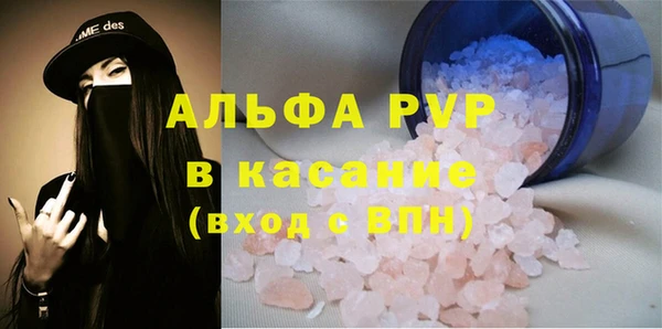 прущие грибы Семикаракорск