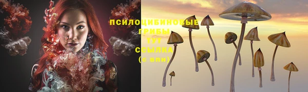 MESCALINE Баксан