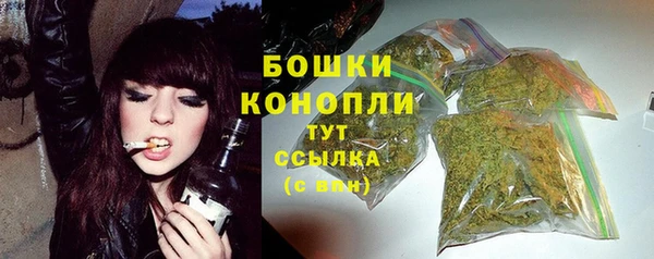 ПСИЛОЦИБИНОВЫЕ ГРИБЫ Семилуки