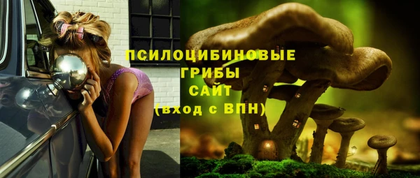 твердый Балабаново