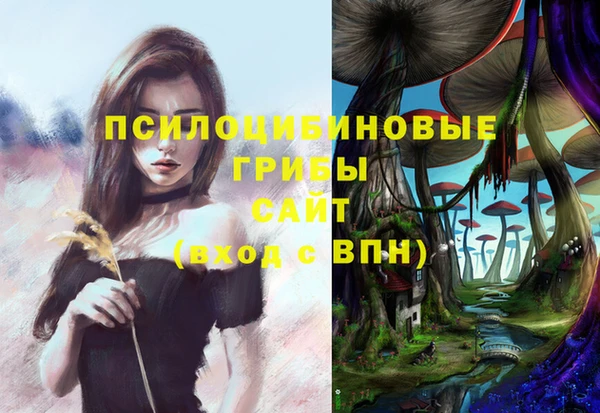 прущие грибы Семикаракорск