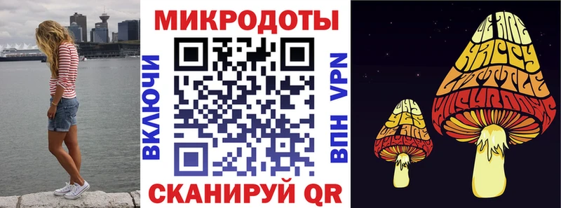 OMG tor  Лабинск  Псилоцибиновые грибы прущие грибы 